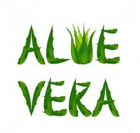Aloe