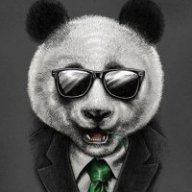 Spy Panda